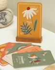 Calm Down Cards