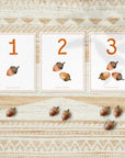 montessori counting cards for toddlers with seasons theme