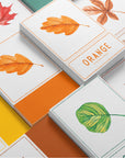 montessori 3 part cards autumn theme