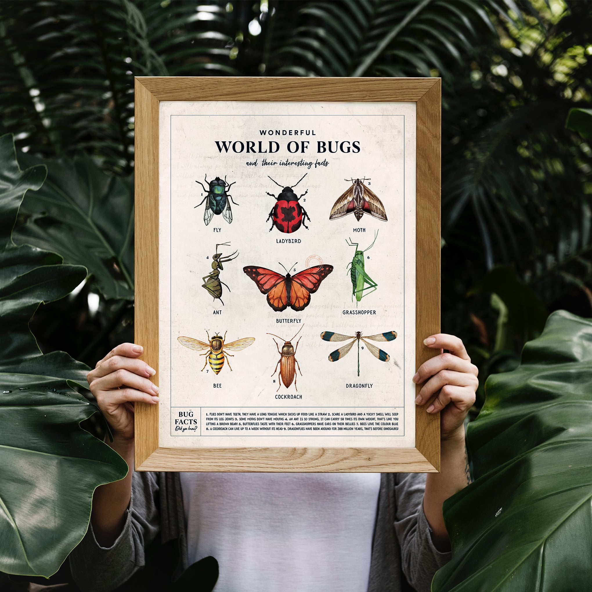 framed poster with watercolour bugs and interesting facts
