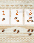 montessori counting cards for toddlers with seasons theme