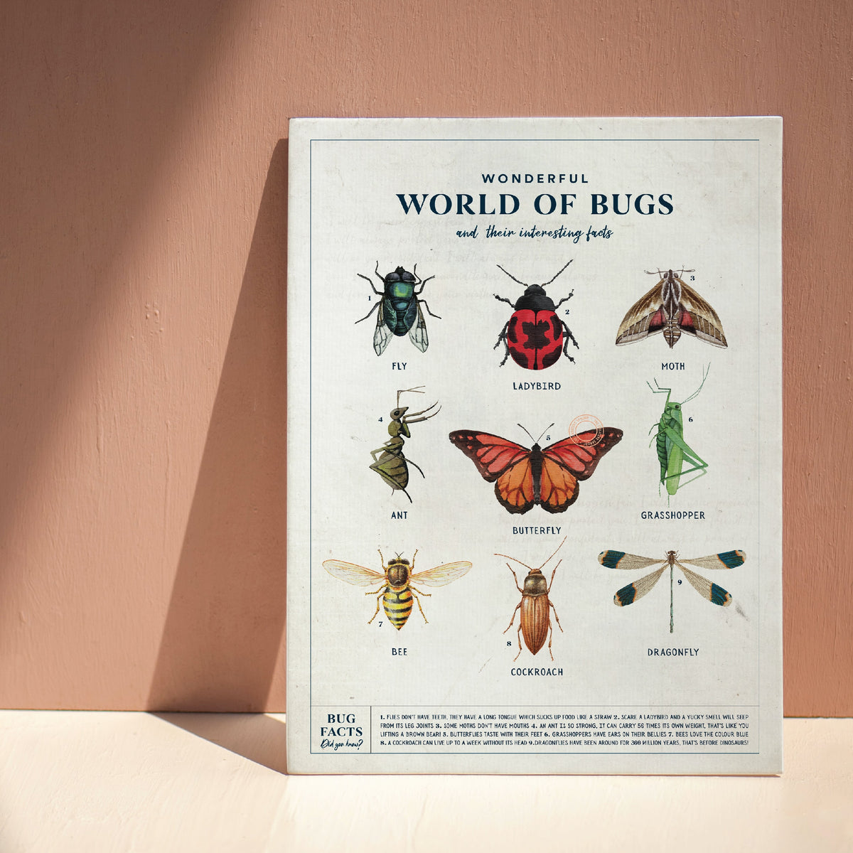 Exploring Insects Poster Wonderful World of Bugs Poster – The Creative Sprout