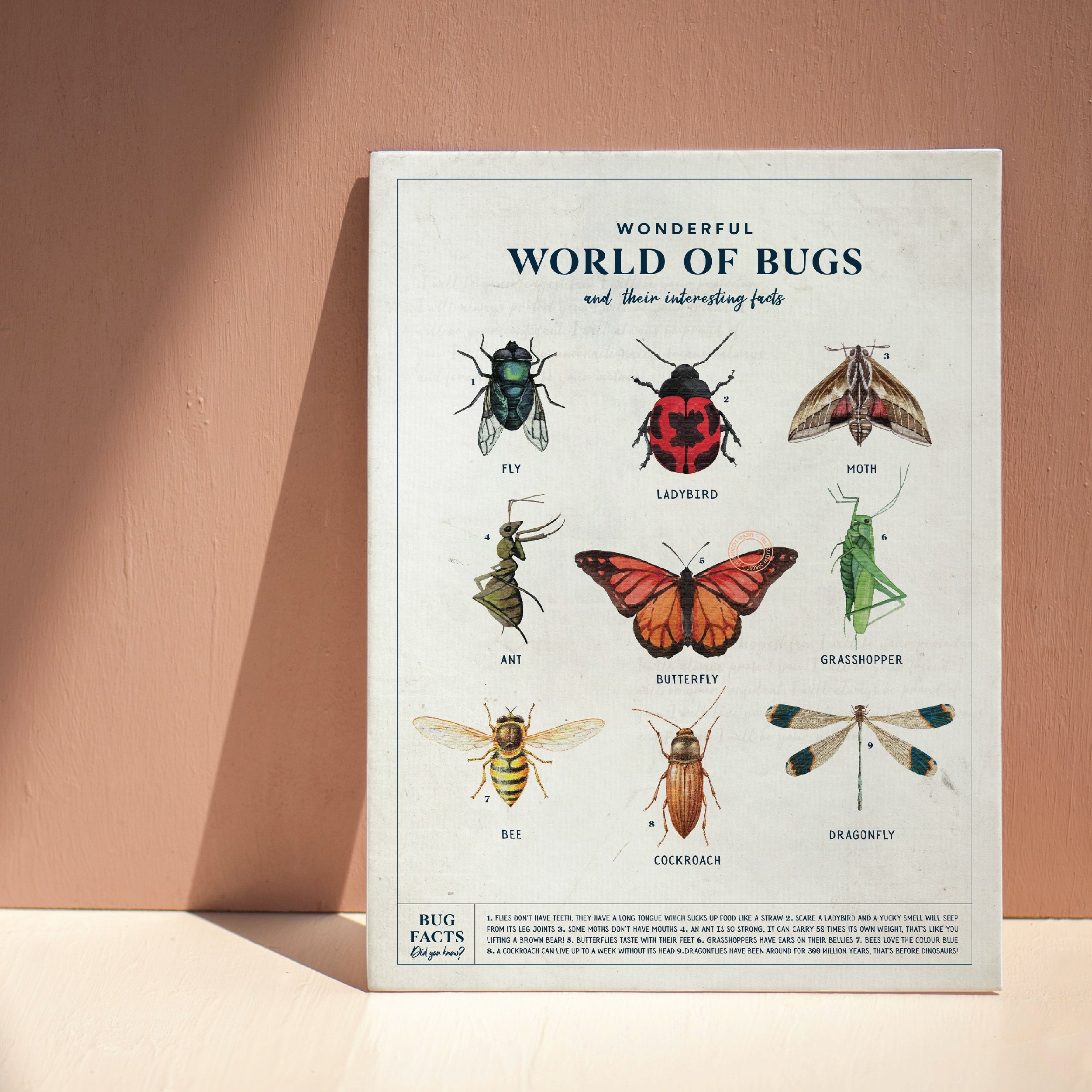 educational poster showing watercolour bugs and facts for kids. Leaning against terracotta colour wall