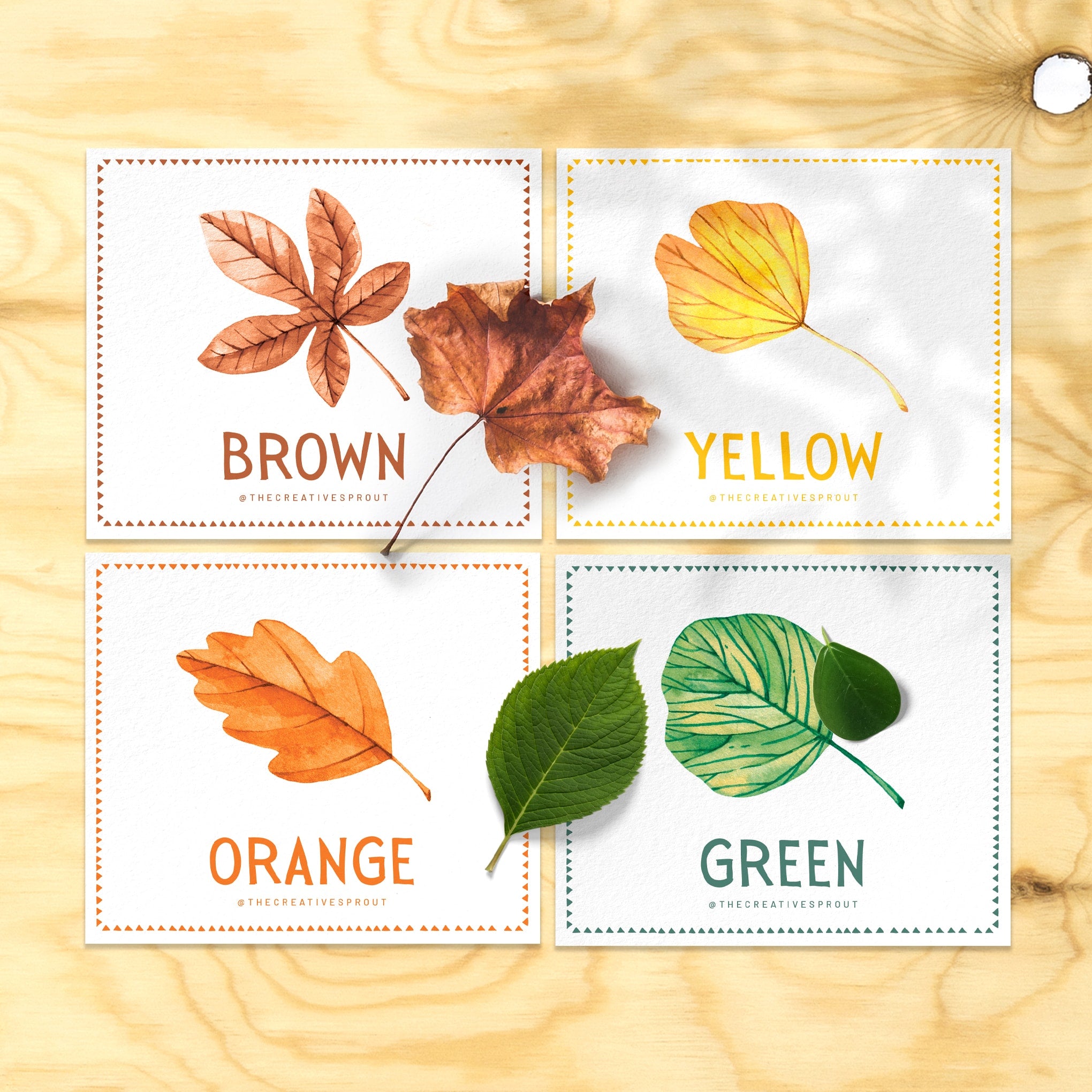 montessori colour sorting activities for toddlers with autumn leaf theme