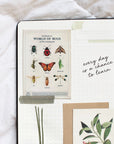 vintage insect poster in notebook